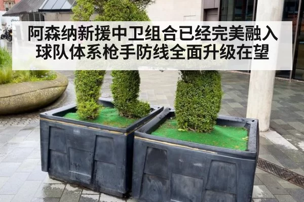 阿森纳新援中卫组合已经完美融入球队体系枪手防线全面升级在望
