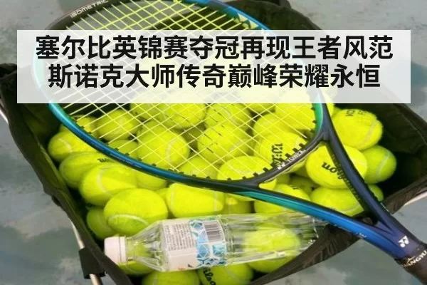 塞尔比英锦赛夺冠再现王者风范 斯诺克大师传奇巅峰荣耀永恒