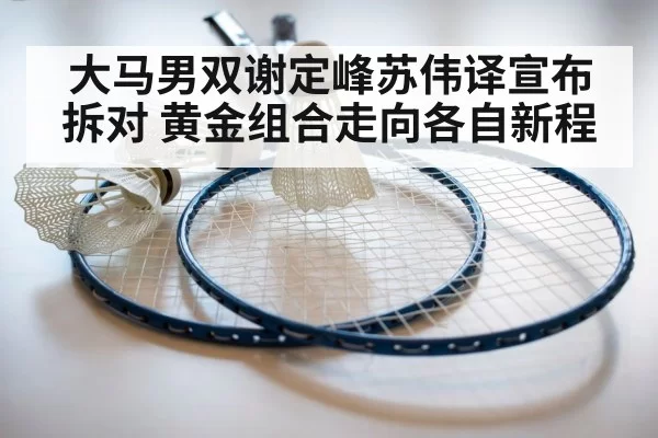 大马男双谢定峰苏伟译宣布拆对 黄金组合走向各自新程